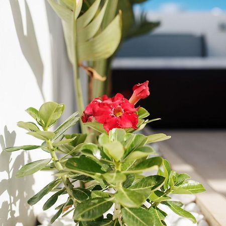 Villa Palmera Jacuzzi يايثا المظهر الخارجي الصورة