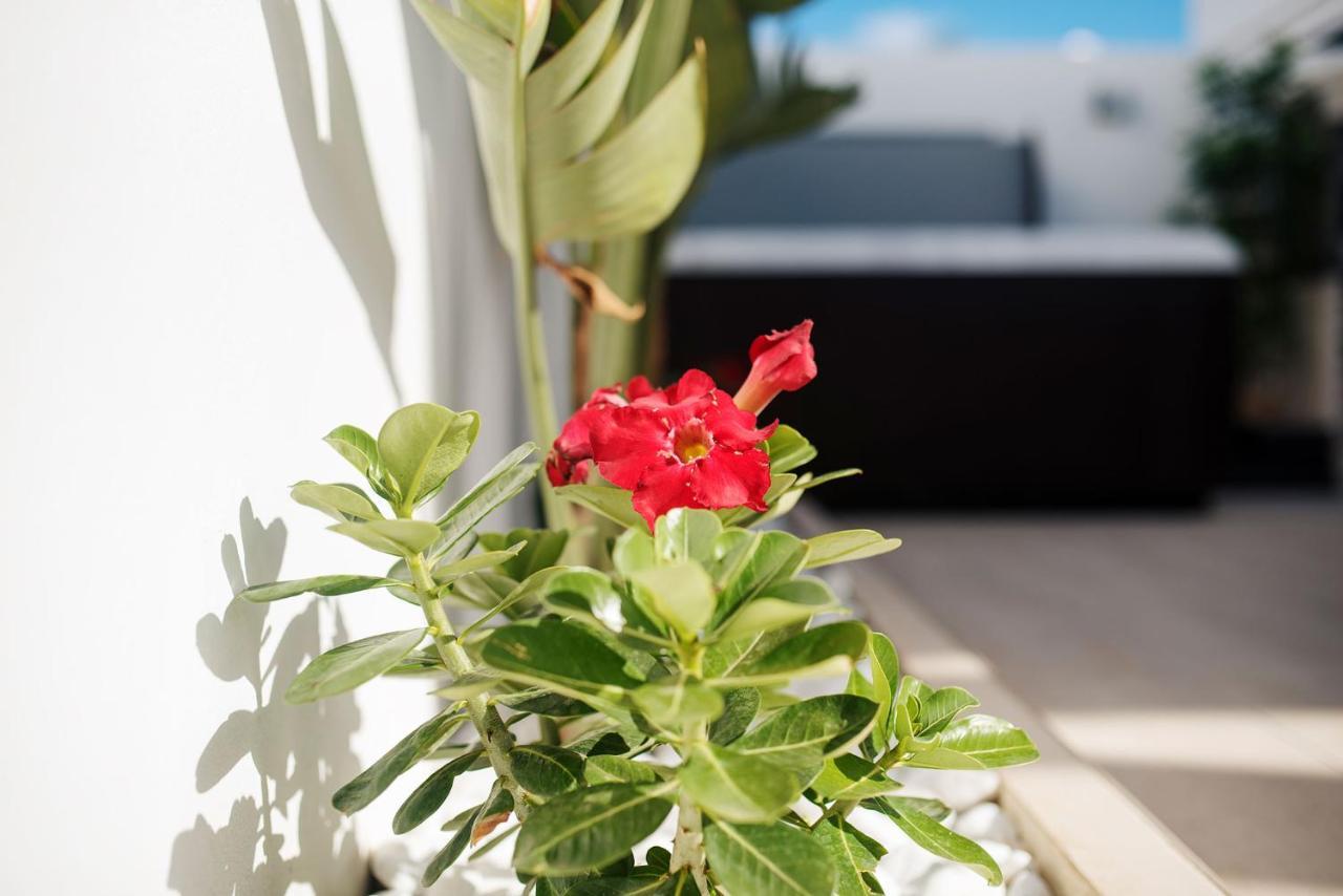 Villa Palmera Jacuzzi يايثا المظهر الخارجي الصورة